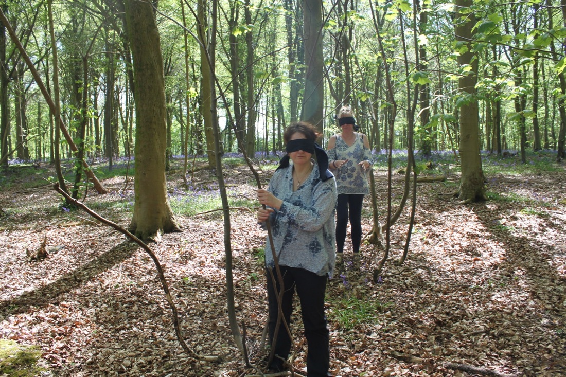 Blindfold in the woods. School of the Wild