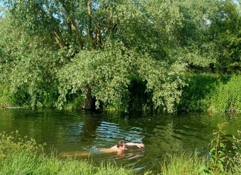 Embodied Wild Swimming. School of the Wild